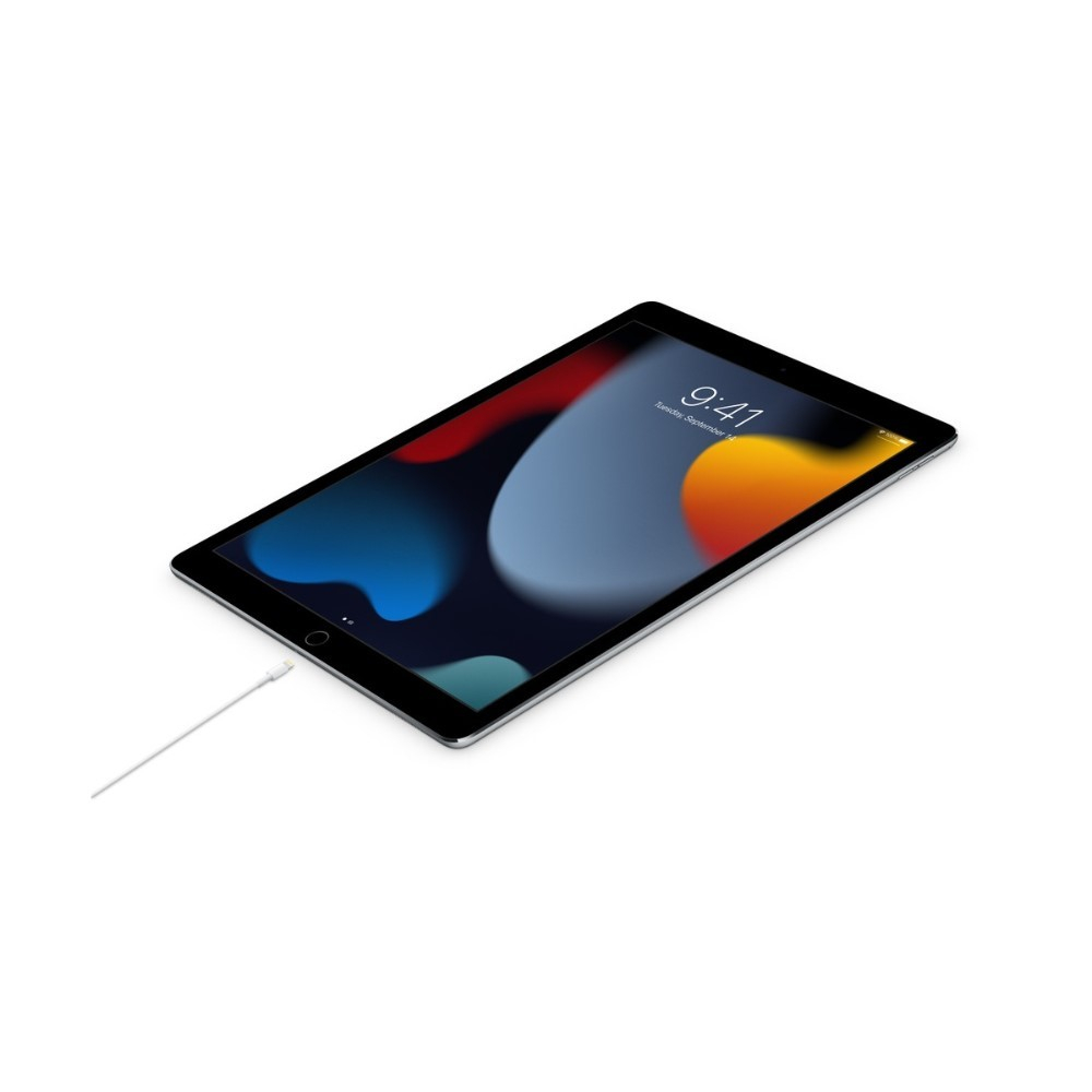 Cable de USB-C a conector Lightning (2 m) - Image 2